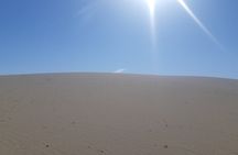 Majestic Gobi Safari, Mongolia