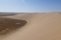 Majestic Gobi Safari, Mongolia