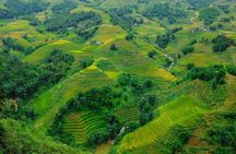 A day Trek to Rice Field in LaoChai-Tavan village-MuongHoa valley
