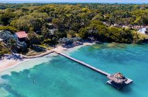 See 5 Key Points in the Rosario Islands with Lunch & Beach Clubs