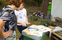  Beekeeping Farm Tour and Tasting Experience in Lazise