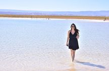Cejar Eyes of the Salt Lake and Tebenquiche Lake Tour