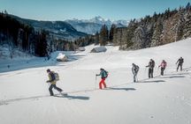 One Day Ski Touring Workshop