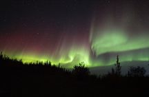 Yellowknife Aurora Hunting Tours by Bus
