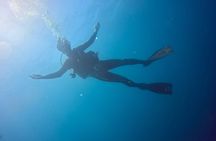 CIG Discovery Diving Tour