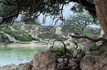 East Salalah Explorer 4 Hour Tour Through History and Nature