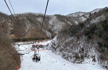 Seoul: Elysian Gangchon Ski Resort Day Trip, Transfers, Upgrades