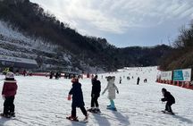 Seoul: Elysian Gangchon Ski Resort Day Trip, Transfers, Upgrades