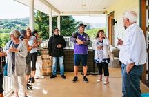 Enchanted Full Day Napa & Sonoma Wine Tour from Oakland