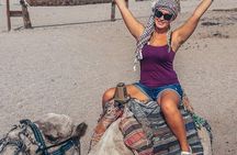 Safari Thrilling Quad bike with Camel Riding in Hurghada 