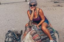 Safari Thrilling Quad bike with Camel Riding in Hurghada 