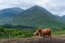 From Glasgow: Scottish Highlands and Loch Ness Day Tour