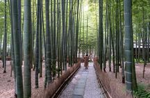DAIBUTSU 3 Hours Private Walking Tour KAMAKURA