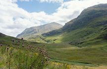 From Glasgow: Glens, West Coast & The Harry Potter Train Day Tour