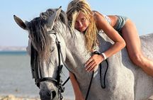 2 Hour - Horseback Ride Across Desert and Sea in Hurghada