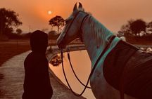 2 Hour - Horseback Ride Across Desert and Sea in Hurghada