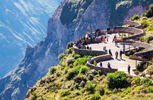 Guided Tour to Colca Canyon with Transportation and Breakfast