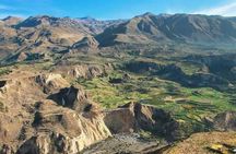 Guided Tour to Colca Canyon with Transportation and Breakfast