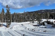 Lake Tahoe Full day Private Tour from Cupertino