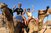 Sharm El Sheikh Mega Safari Desert and Sea Adventure
