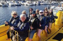 Dolphin Watching and Bathing in Papagayo Lanzarote Beach 