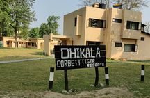 Overnight Stay in the Heart of Jim Corbett National Park