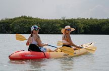 Key West Schooner Backcountry Eco Tour Sail Snorkel and Kayak