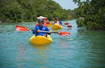 Key West Schooner Backcountry Eco Tour Sail Snorkel and Kayak