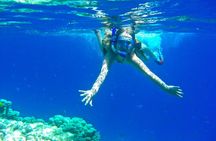 Fishing Private SpeedBoat & Transfer & Snorkeling Trip - Hurghada