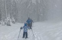 Mt. Shasta Snowshoeing Tours