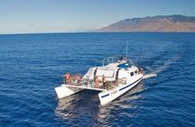 Molokini or Coral Gardens PM Snorkel Aboard Malolo
