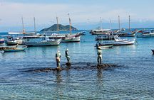 Búzios Full day: Boat and Trolley Tour with Lunch from Búzios