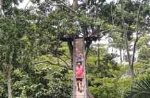 Collpa Chuncho and Lake Sandoval Tour 4 Days and 3 Nights