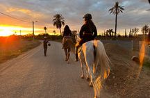 Private horseback ride in the Palmeraie of Marrakech