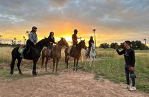 Marrakech : Private Horse Ride in the Palm Grove with Tea