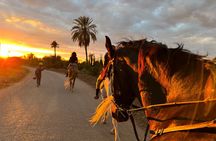 Marrakech : Private Horse Ride in the Palm Grove with Tea