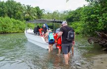 Corcovado National Park Land and Ocean Tour