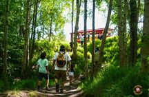 Anchorage Trolley'sCity Tour