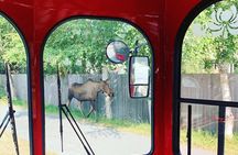 Anchorage Trolley'sCity Tour