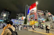 Tokyo Night Tour with English Speaking Guide 