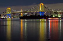 Tokyo Night Tour with English Speaking Guide 