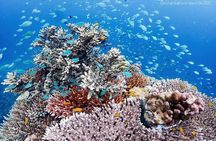 Surin Islands Overnight Beach Camping and Snorkeling Adventure