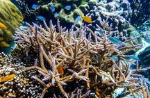Surin Islands Overnight Beach Camping and Snorkeling Adventure