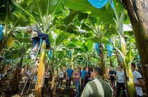 Puerto Limon 6 in 1 Highlights Tour 