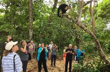 Puerto Limon 6 in 1 Highlights Tour 