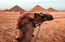 Giza Pyramids private trip With entering Pyramid and Camel ride 