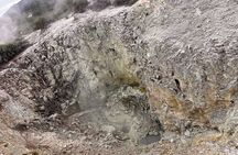 TRIPLE DEAL Ex Auckland Wai-O-Tapu, Redwood Forest & Blue Springs