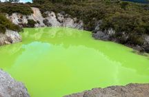 TRIPLE DEAL Ex Auckland Wai-O-Tapu, Redwood Forest & Blue Springs