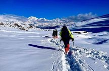 Dayara Bugyal and Surya Top Trek