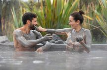 Hell's Gate Mud Spa & Thermal Park Group Day Tour from Auckland